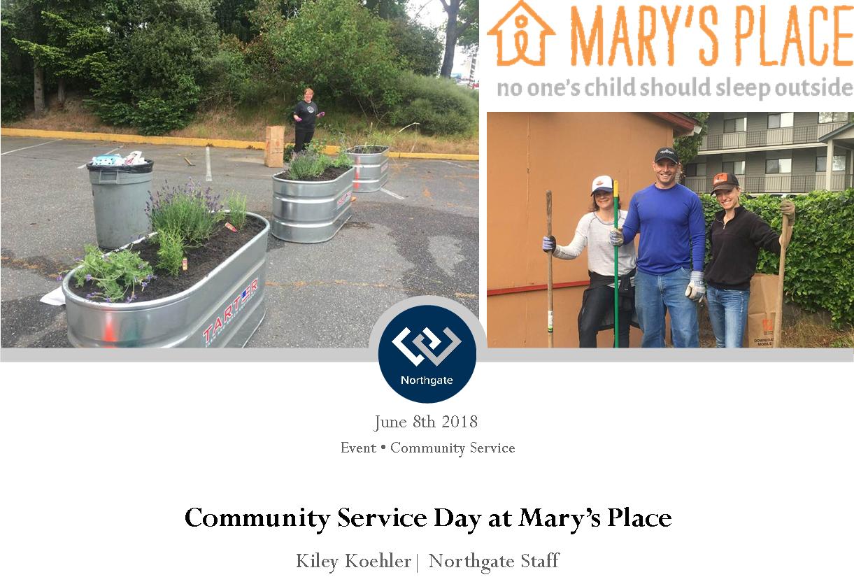 Northgate office cleaning & gardening at Mary's Place